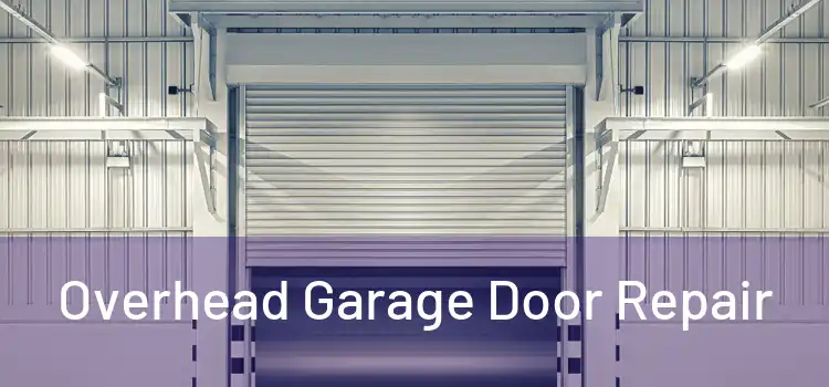  Overhead Garage Door Repair 